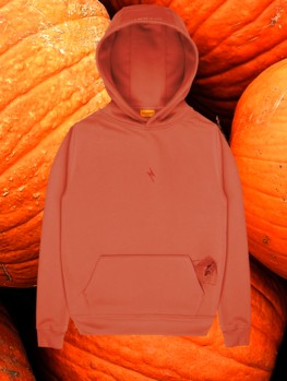 PUMPKIN hoodie